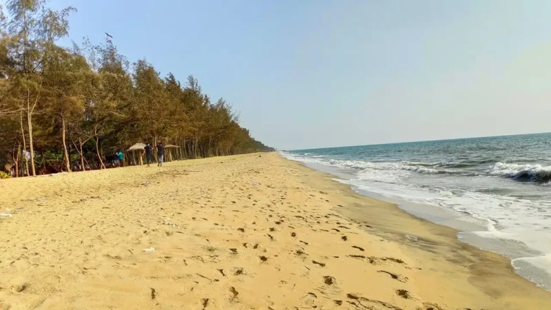 Evening at Hill Palace or Cherai Beach