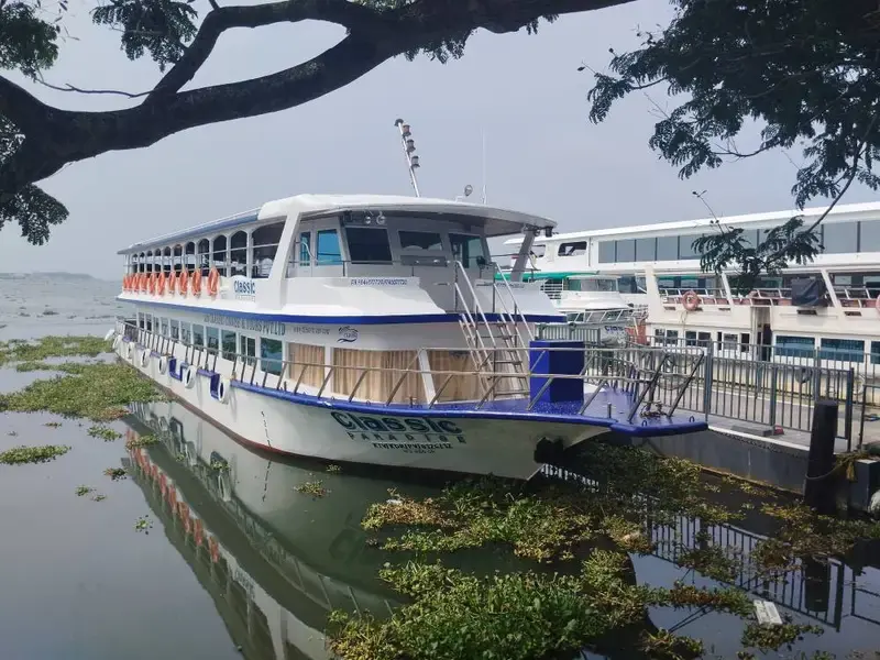 Morning Cruise