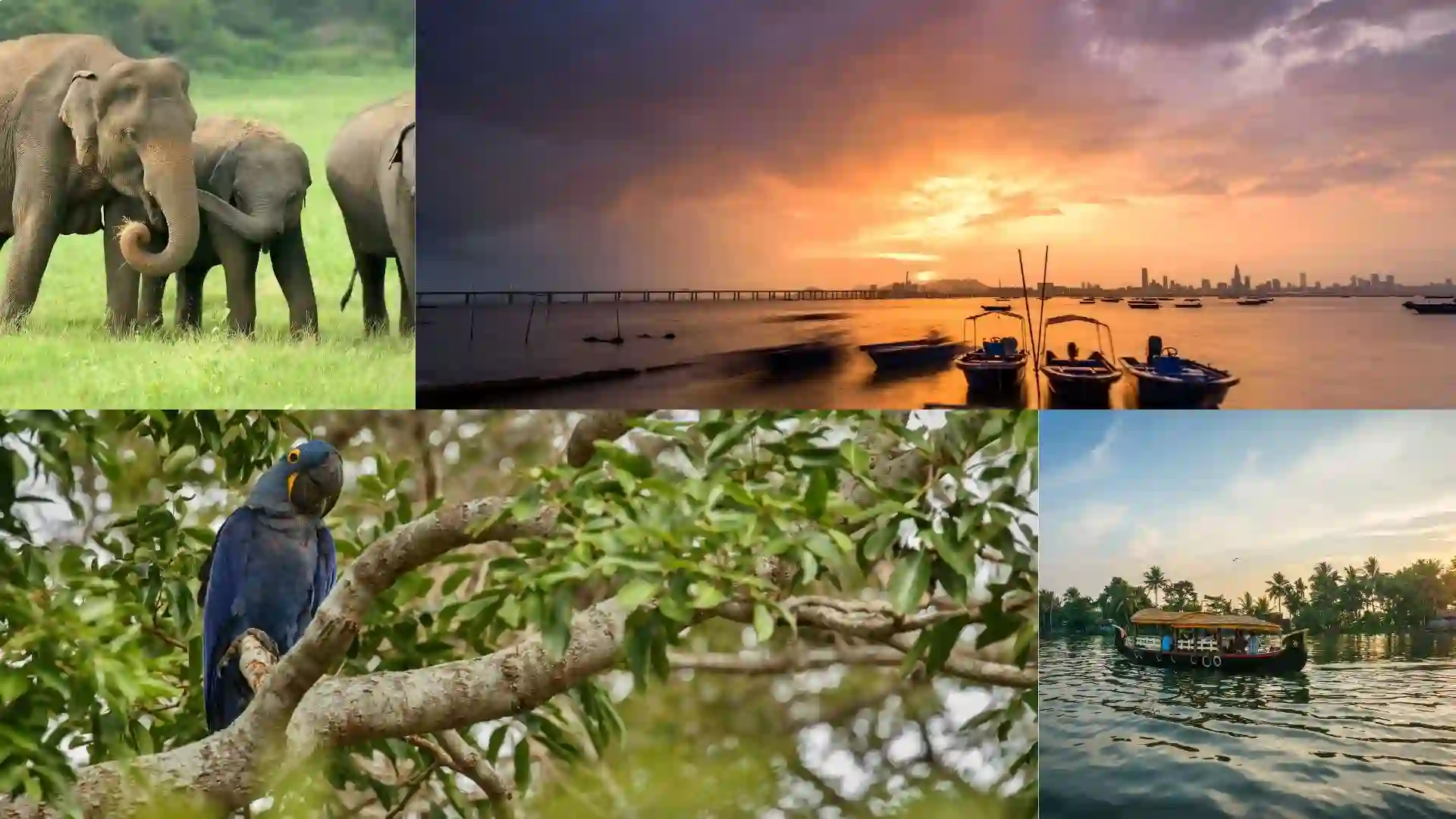 18 Best Places to Visit in Kochi with Family Within 100 km